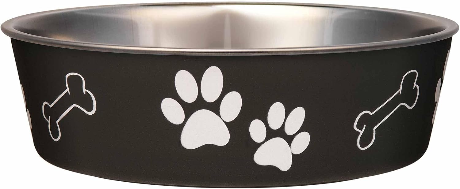 Bella Dog Bowls- Stainless Steel Dog & Cat Bowls - Spill Proof Dog Food Bowl, Cat Bowl, Puppy Essentials & Pet Supplies Great for Home & Travel (Small 10-20 lbs, Grape)