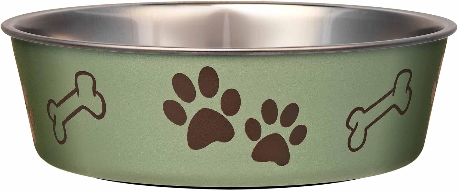 Bella Dog Bowls- Stainless Steel Dog & Cat Bowls - Spill Proof Dog Food Bowl, Cat Bowl, Puppy Essentials & Pet Supplies Great for Home & Travel (Small 10-20 lbs, Grape)