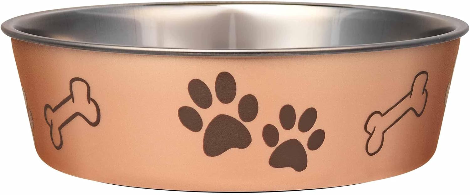 Bella Dog Bowls- Stainless Steel Dog & Cat Bowls - Spill Proof Dog Food Bowl, Cat Bowl, Puppy Essentials & Pet Supplies Great for Home & Travel (Small 10-20 lbs, Grape)