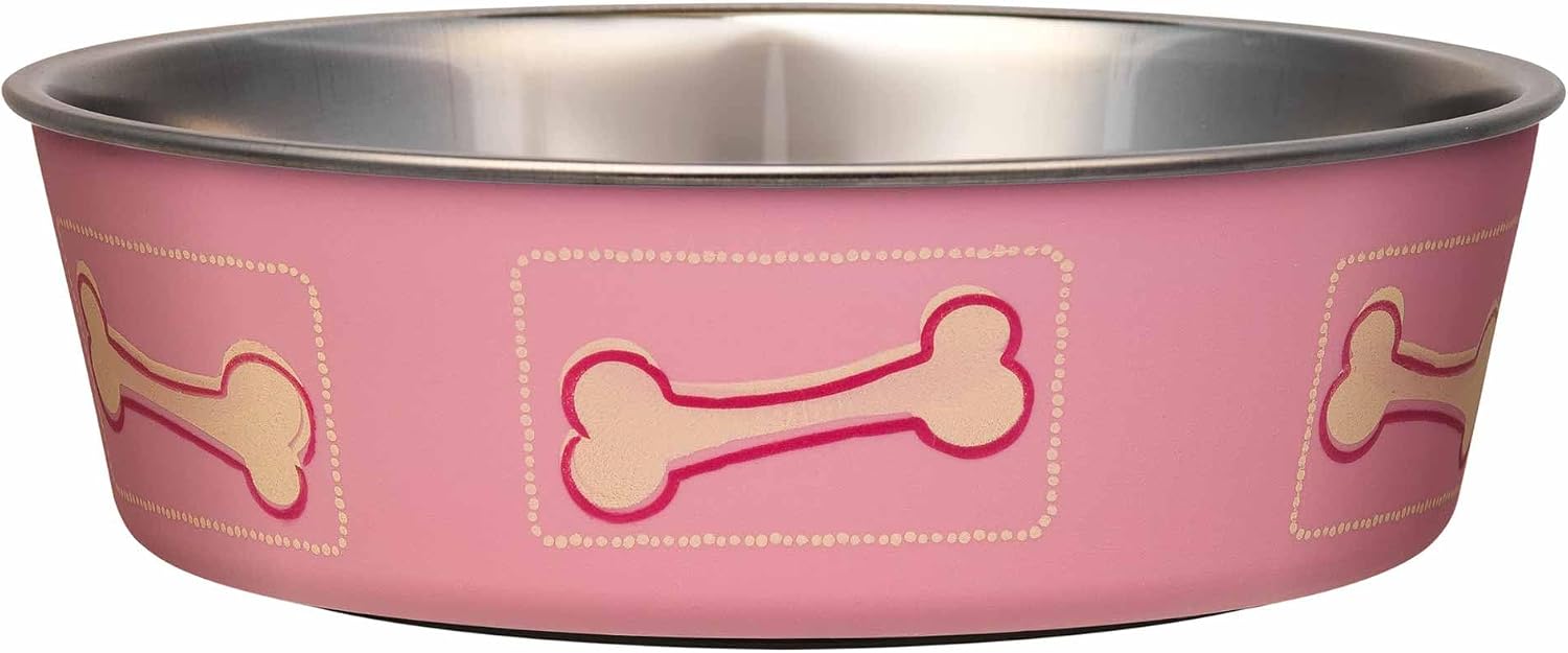 Bella Dog Bowls- Stainless Steel Dog & Cat Bowls - Spill Proof Dog Food Bowl, Cat Bowl, Puppy Essentials & Pet Supplies Great for Home & Travel (Small 10-20 lbs, Grape)