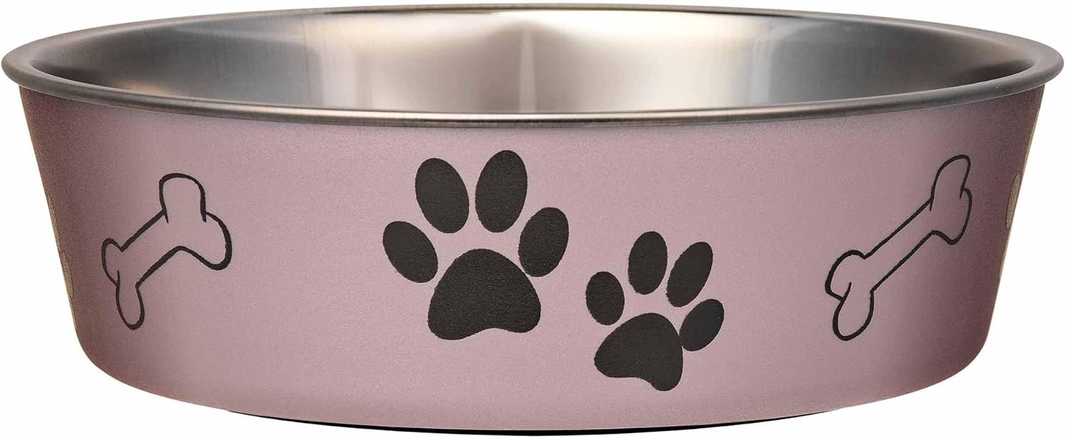 Bella Dog Bowls- Stainless Steel Dog & Cat Bowls - Spill Proof Dog Food Bowl, Cat Bowl, Puppy Essentials & Pet Supplies Great for Home & Travel (Small 10-20 lbs, Grape)