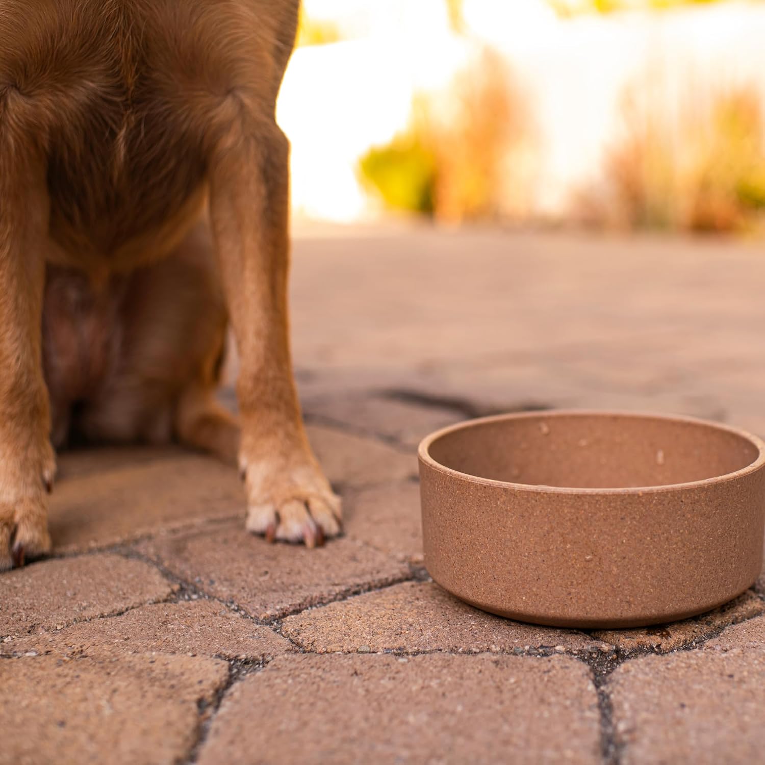 Dolce Bamboo - Eco-Friendly Pet Bowls & Dishes for Dog, Cats, Puppy Food and Water Bowl -Sustainable and Dishwasher Safe, Made with Real Bamboo (Small, Slate-Grey)