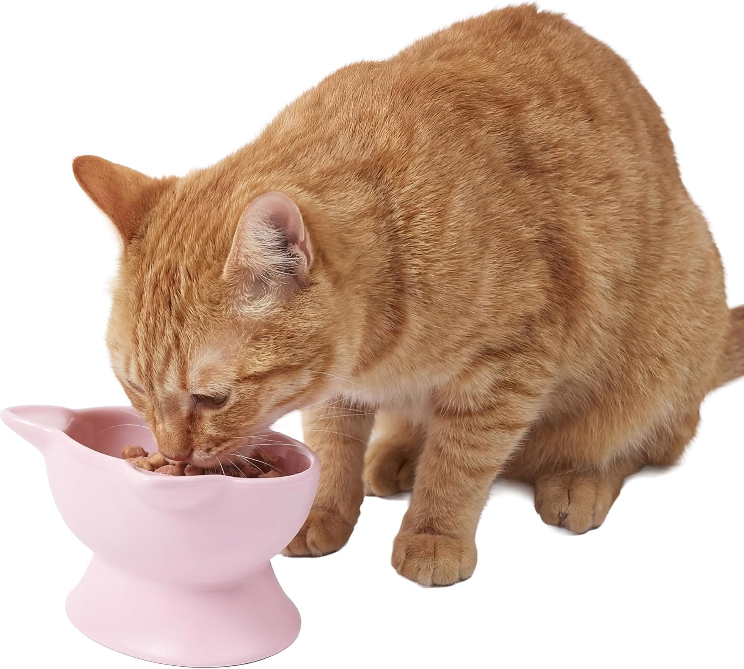 Elevated Cat Bowls (Set of 2), Whisker-Friendly Raised Cat Food & Water Dishes, Modern Pedestal Design, Dishwasher Safe, 6.5 oz Each – White & Gray