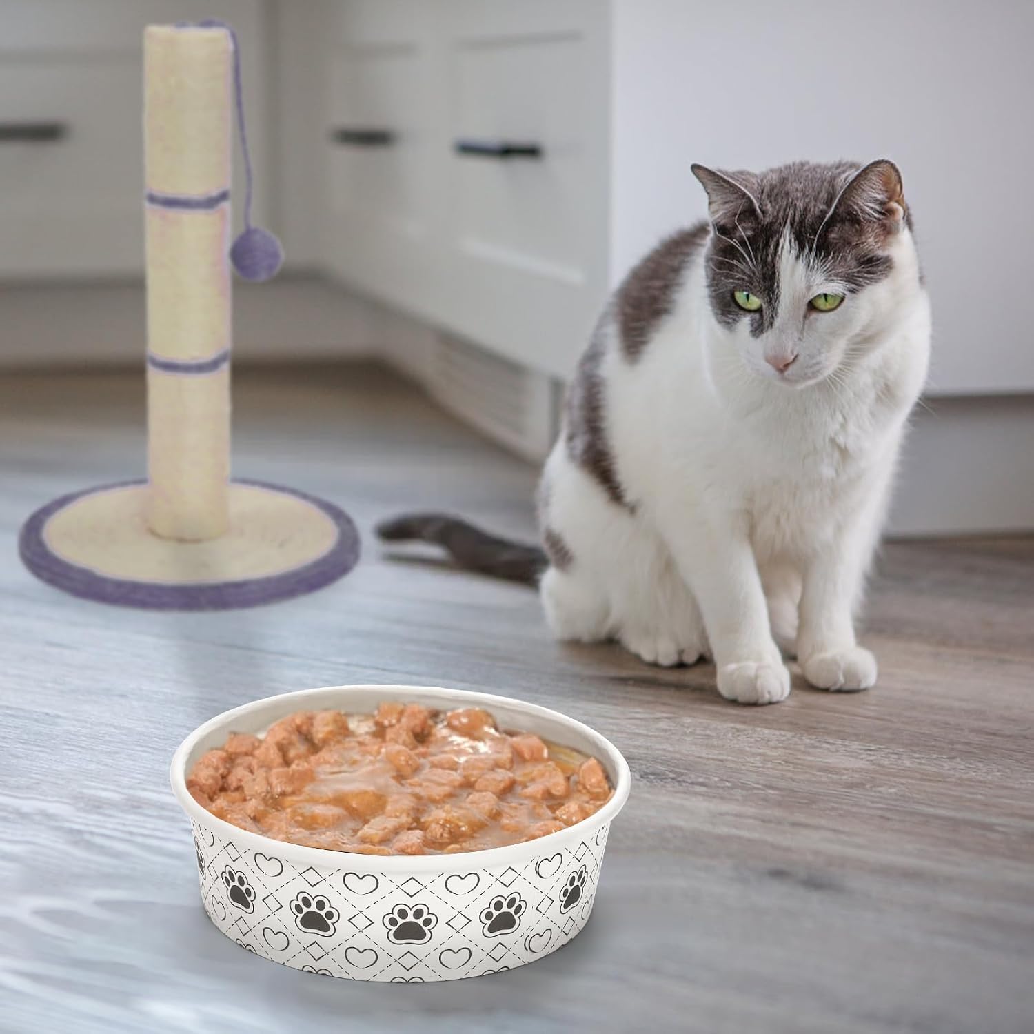 40Pcs Disposable Pets Bowls, 16 oz Paper Dog Food Bowl, Cute Foot Print Design Travel Cat Feeding Bowl for Small Dog Puppy Dry and Wet Food or Water
