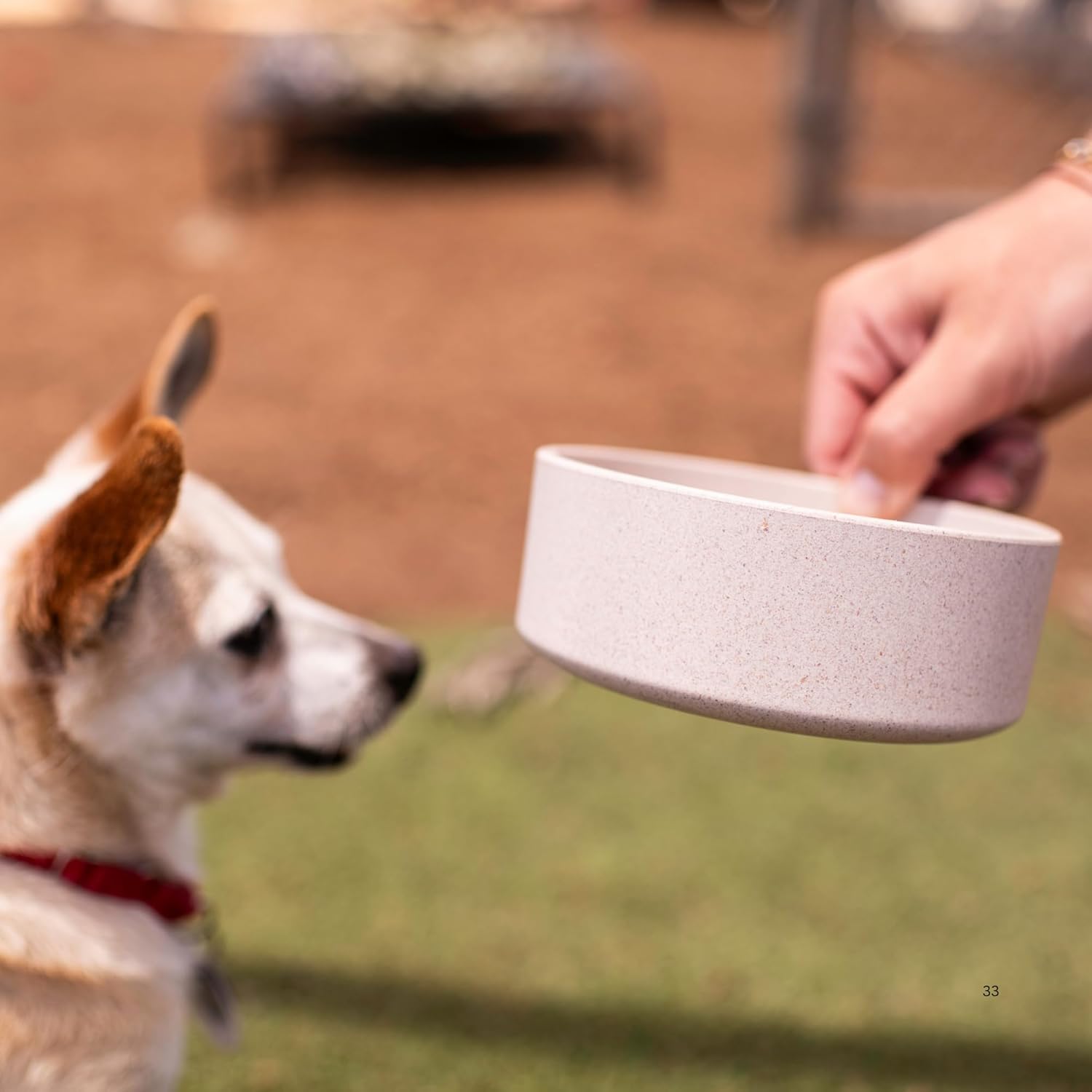 Dolce Bamboo - Eco-Friendly Pet Bowls & Dishes for Dog, Cats, Puppy Food and Water Bowl -Sustainable and Dishwasher Safe, Made with Real Bamboo (Small, Slate-Grey)