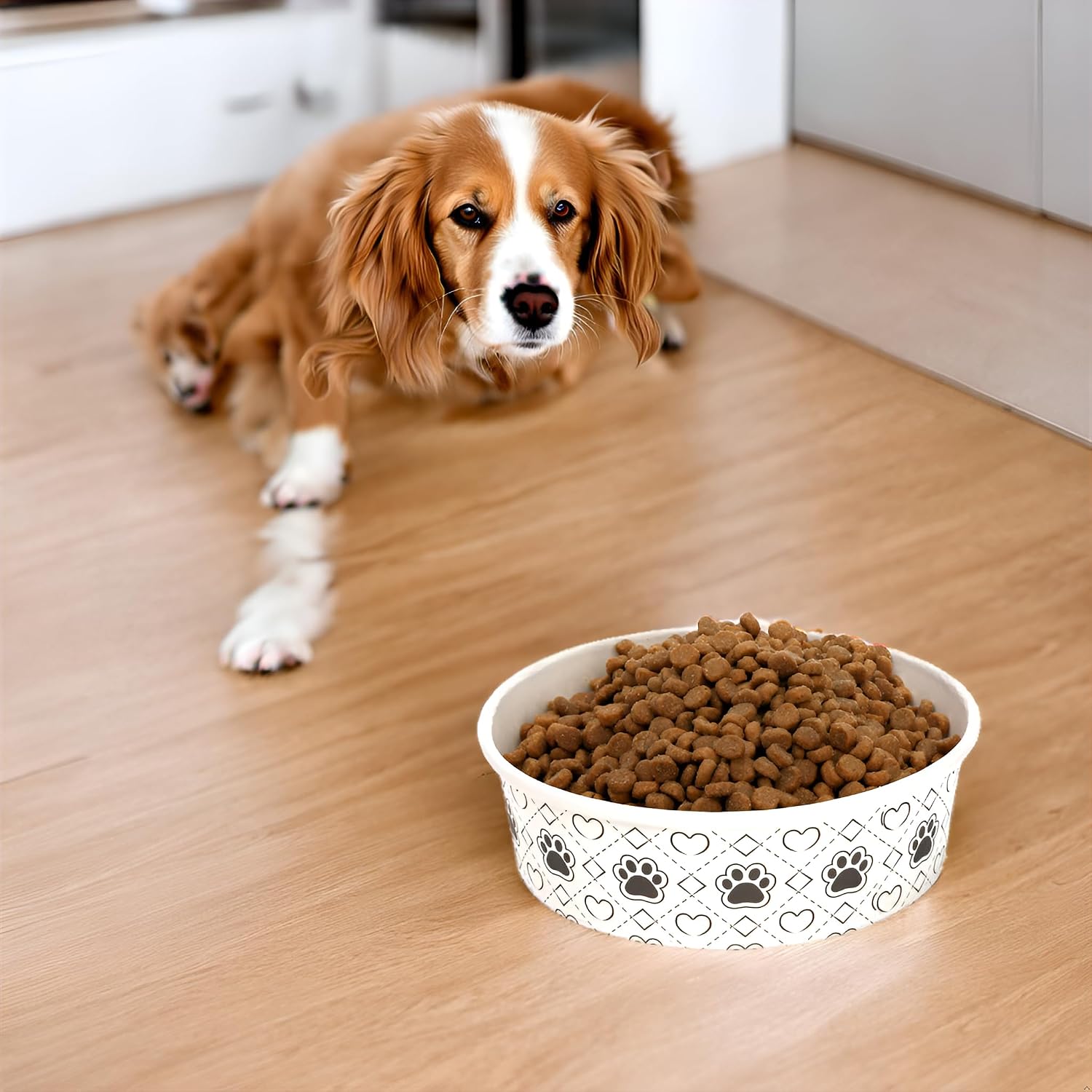 40Pcs Disposable Pets Bowls, 16 oz Paper Dog Food Bowl, Cute Foot Print Design Travel Cat Feeding Bowl for Small Dog Puppy Dry and Wet Food or Water
