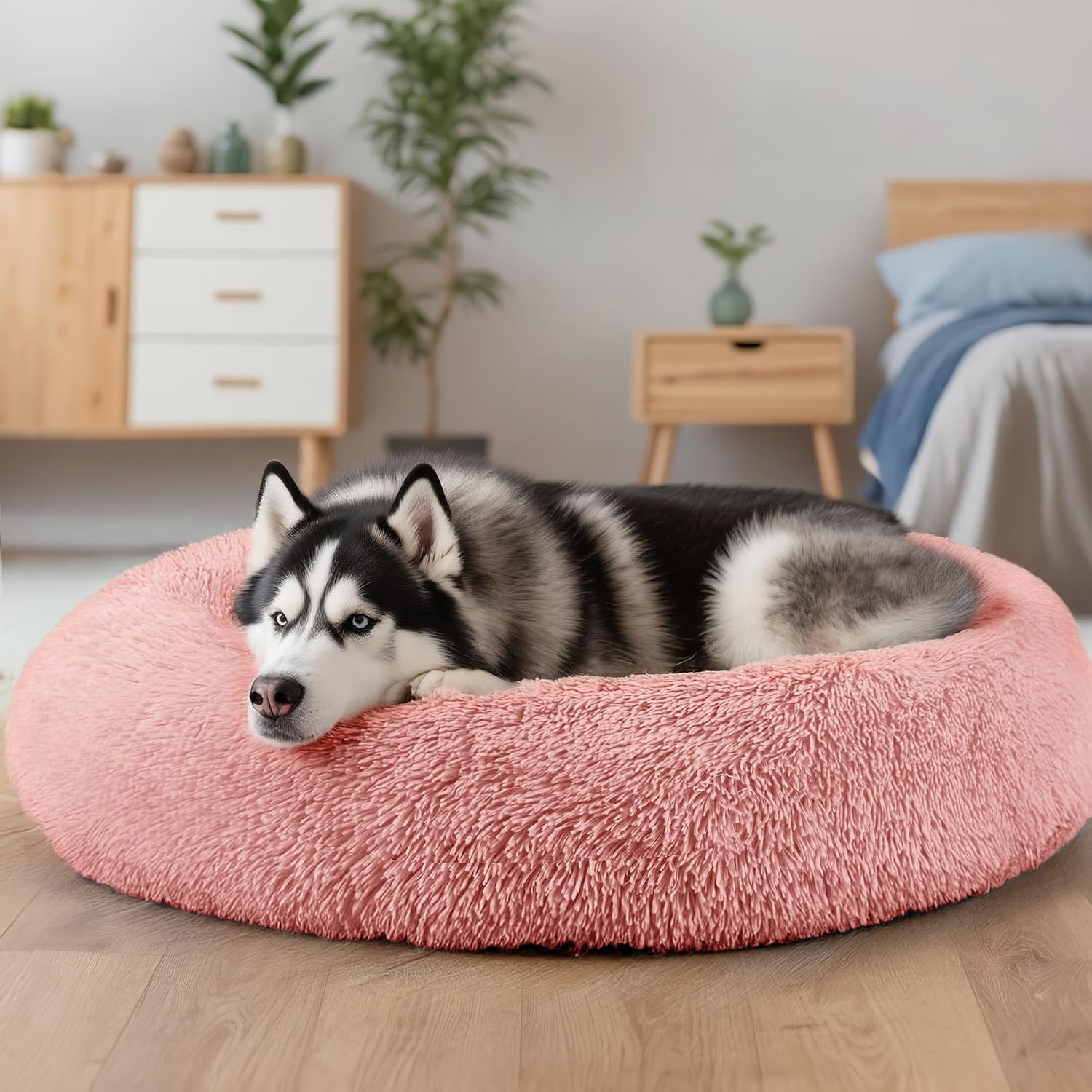 Dog & Cat Bed for Indoor Cats, 20in Calming Donut Bed for Puppy and Kitten, Washable Round Fluffy Pet Bed for Small Medium Dogs and Cats (Light Grey)