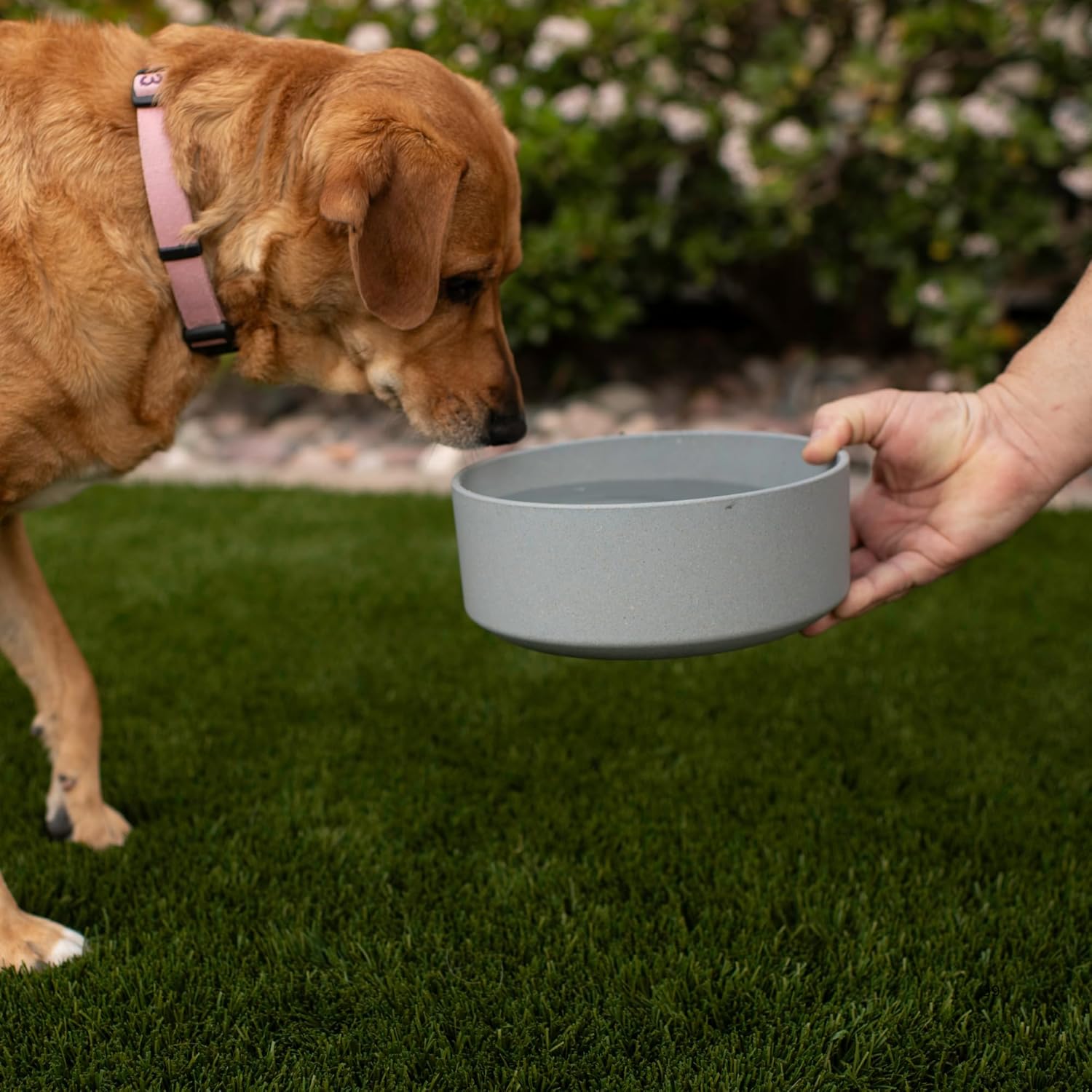 Dolce Bamboo - Eco-Friendly Pet Bowls & Dishes for Dog, Cats, Puppy Food and Water Bowl -Sustainable and Dishwasher Safe, Made with Real Bamboo (Small, Slate-Grey)