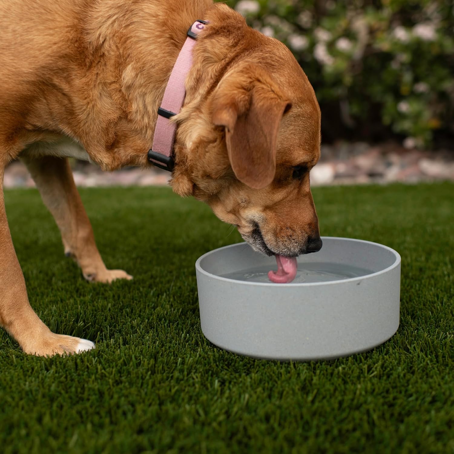 Dolce Bamboo - Eco-Friendly Pet Bowls & Dishes for Dog, Cats, Puppy Food and Water Bowl -Sustainable and Dishwasher Safe, Made with Real Bamboo (Small, Slate-Grey)