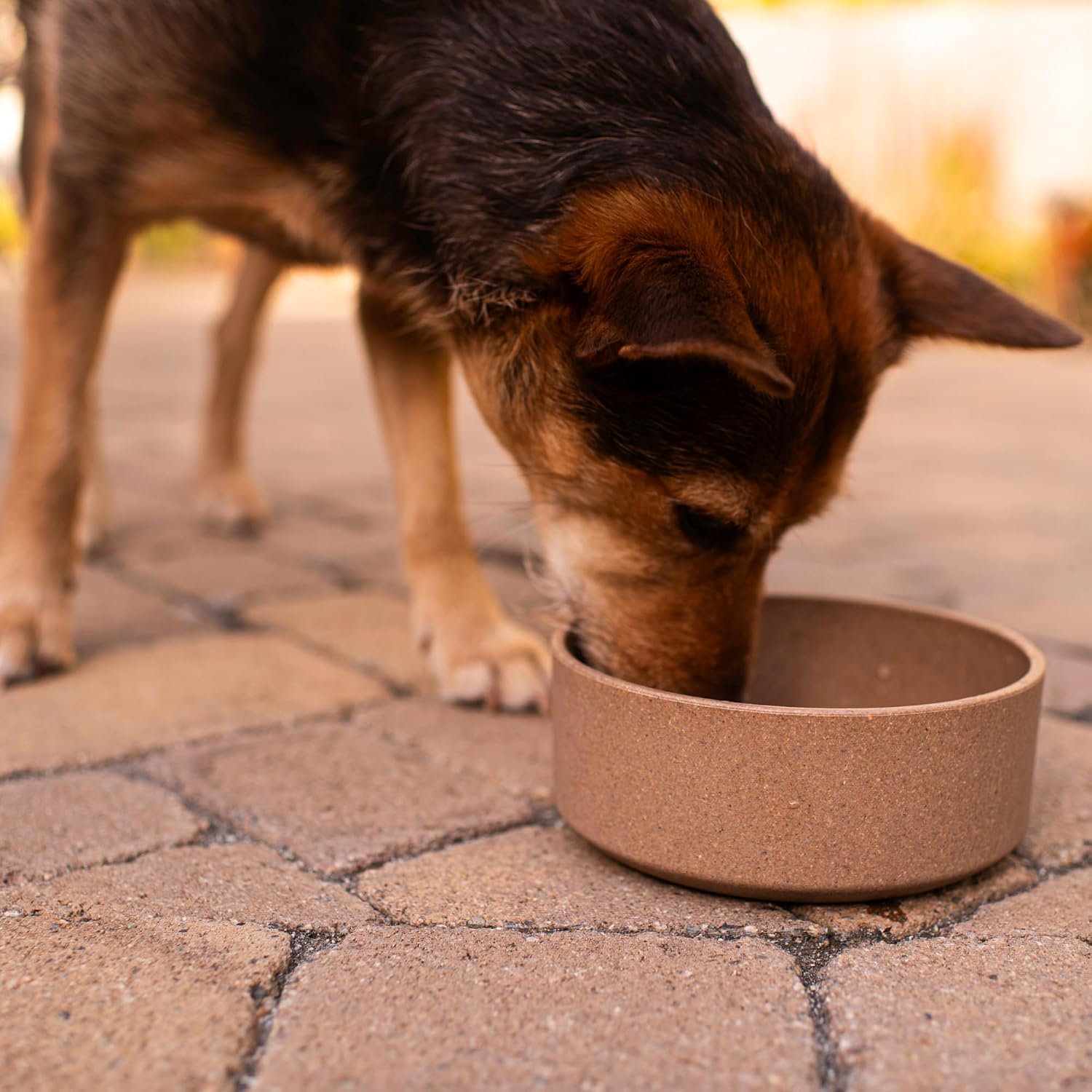 Dolce Bamboo - Eco-Friendly Pet Bowls & Dishes for Dog, Cats, Puppy Food and Water Bowl -Sustainable and Dishwasher Safe, Made with Real Bamboo (Small, Slate-Grey)