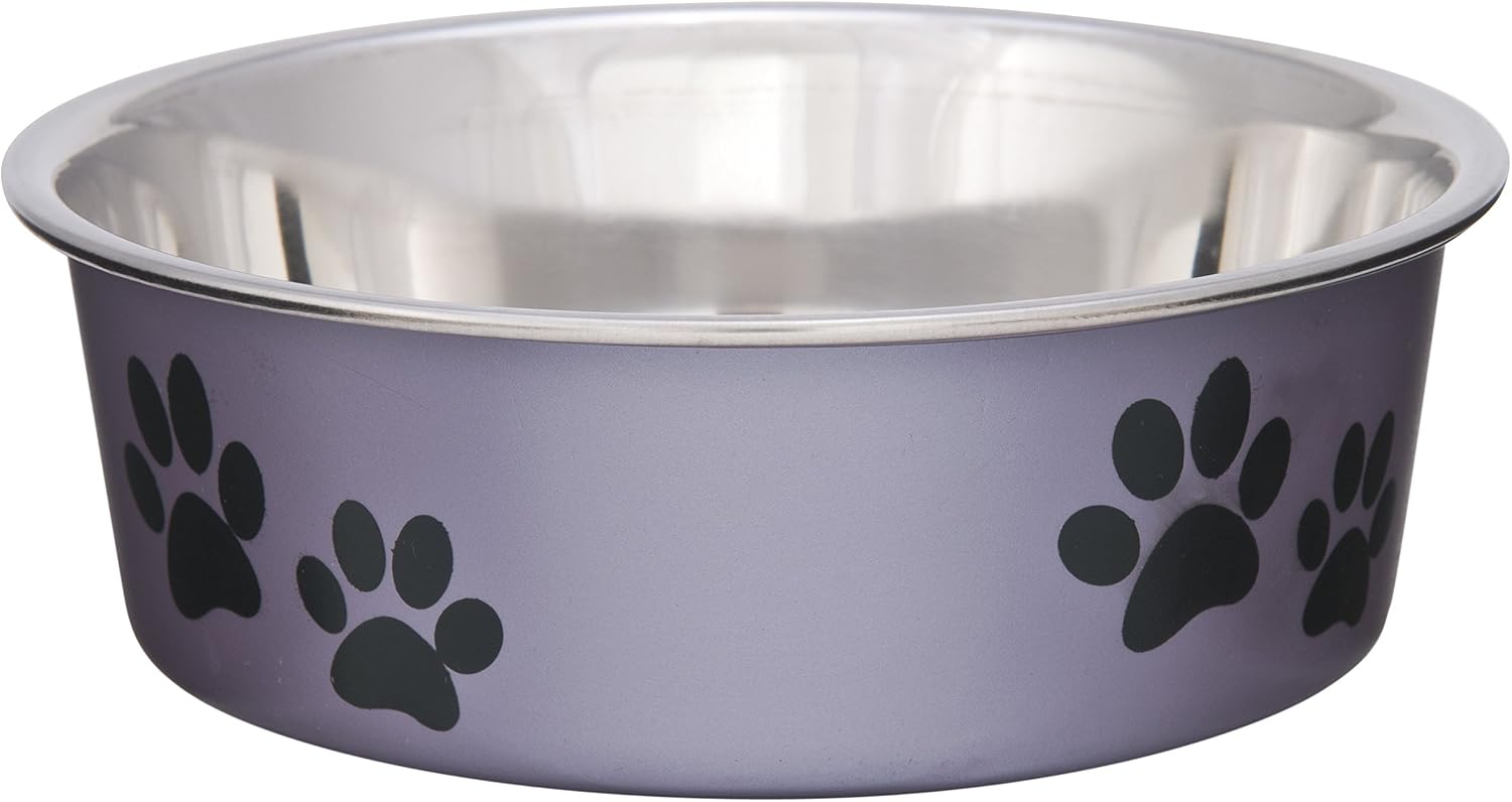 Bella Dog Bowls- Stainless Steel Dog & Cat Bowls - Spill Proof Dog Food Bowl, Cat Bowl, Puppy Essentials & Pet Supplies Great for Home & Travel (Small 10-20 lbs, Grape)