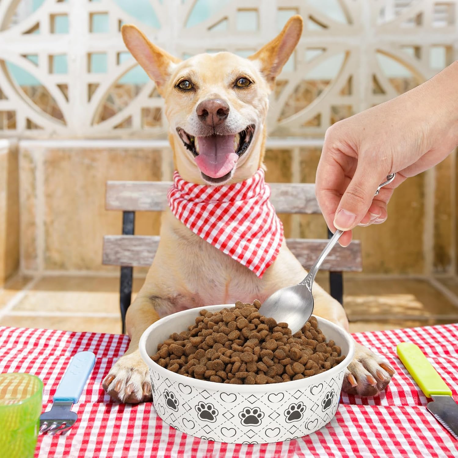 40Pcs Disposable Pets Bowls, 16 oz Paper Dog Food Bowl, Cute Foot Print Design Travel Cat Feeding Bowl for Small Dog Puppy Dry and Wet Food or Water