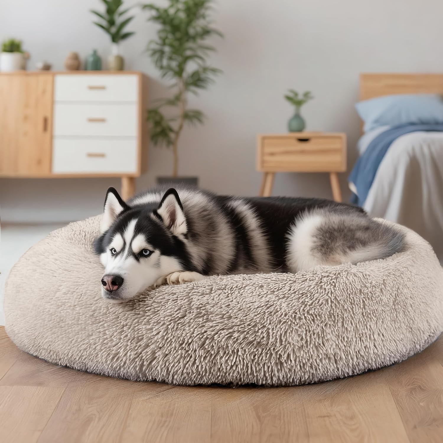 Dog & Cat Bed for Indoor Cats, 20in Calming Donut Bed for Puppy and Kitten, Washable Round Fluffy Pet Bed for Small Medium Dogs and Cats (Light Grey)