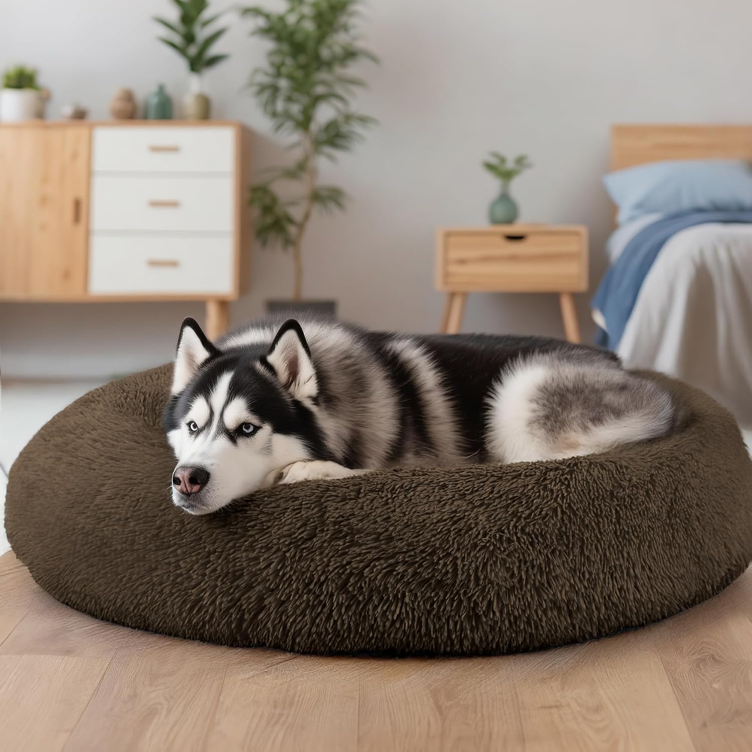 Dog & Cat Bed for Indoor Cats, 20in Calming Donut Bed for Puppy and Kitten, Washable Round Fluffy Pet Bed for Small Medium Dogs and Cats (Light Grey)