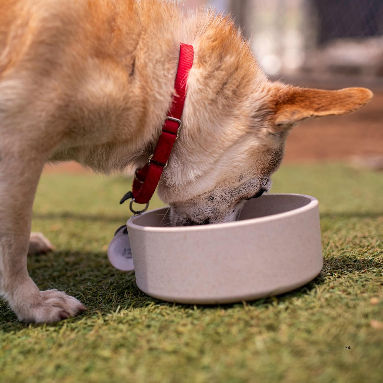 Dolce Bamboo - Eco-Friendly Pet Bowls & Dishes for Dog, Cats, Puppy Food and Water Bowl -Sustainable and Dishwasher Safe, Made with Real Bamboo (Small, Slate-Grey)