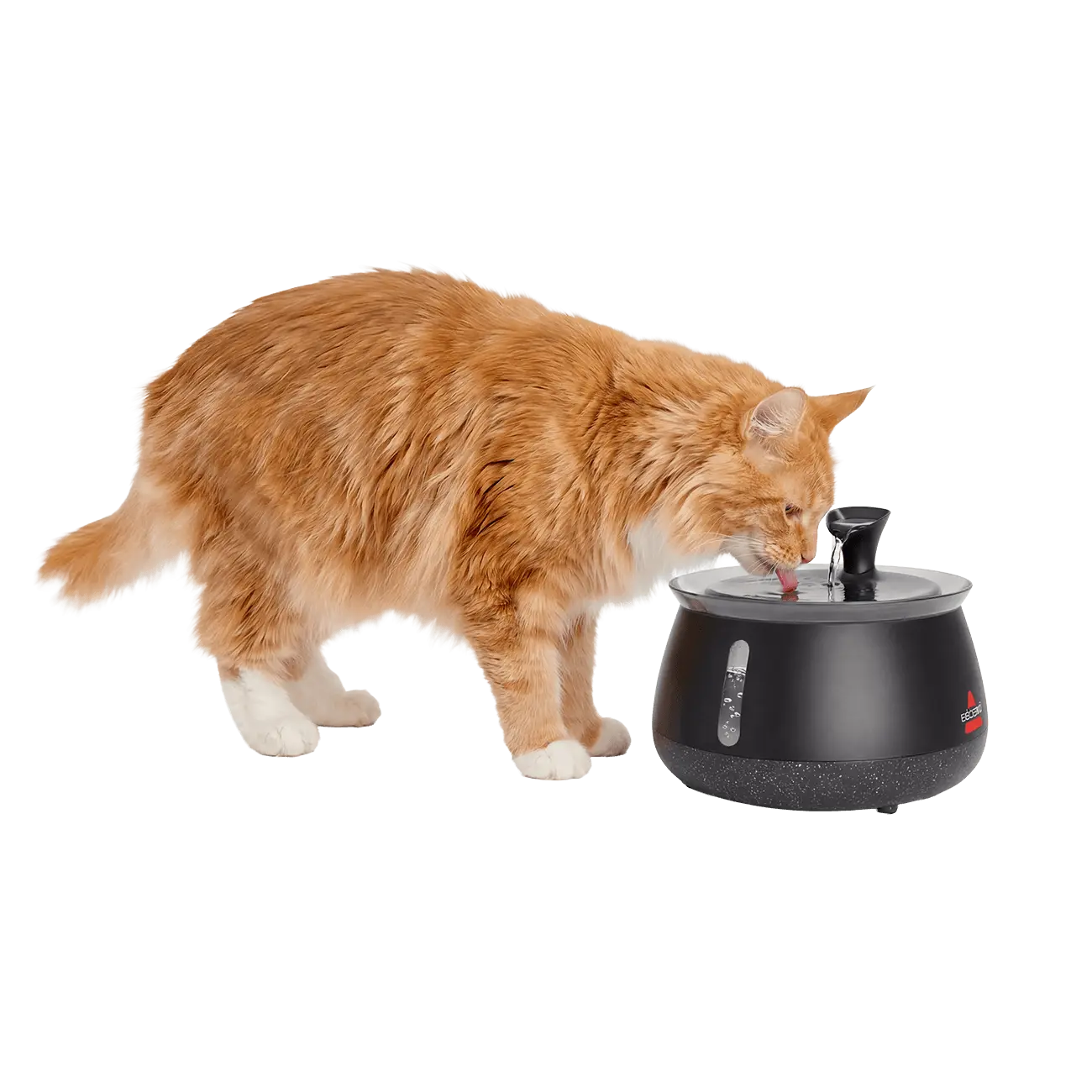 Fuente de Agua para Gatos con Filtro, Bomba Inalámbrica Silenciosa, Agua Fresca y Limpia para Mascotas