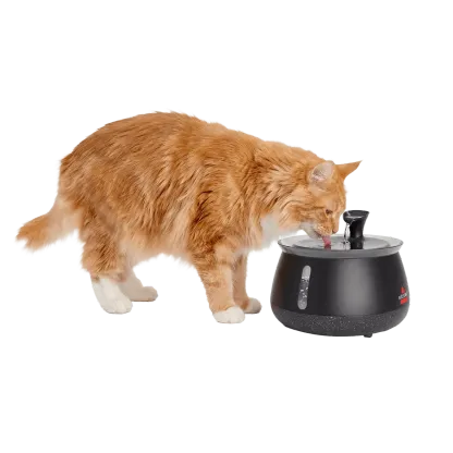 Fuente de Agua para Gatos con Filtro, Bomba Inalámbrica Silenciosa, Agua Fresca y Limpia para Mascotas