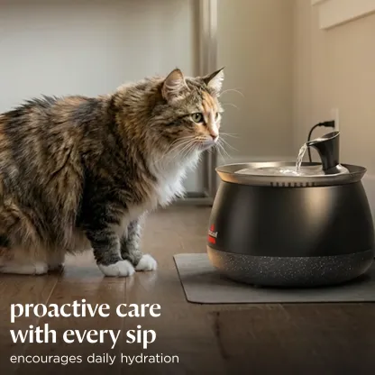 Fuente de Agua para Gatos con Filtro, Bomba Inalámbrica Silenciosa, Agua Fresca y Limpia para Mascotas