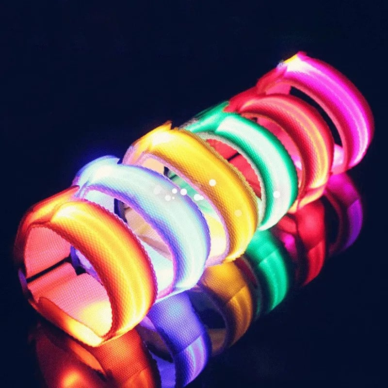Colourful illuminated horse leg straps
