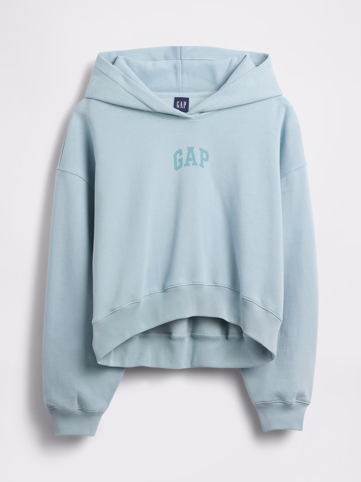 VintageSoft Crop Logo Hoodie