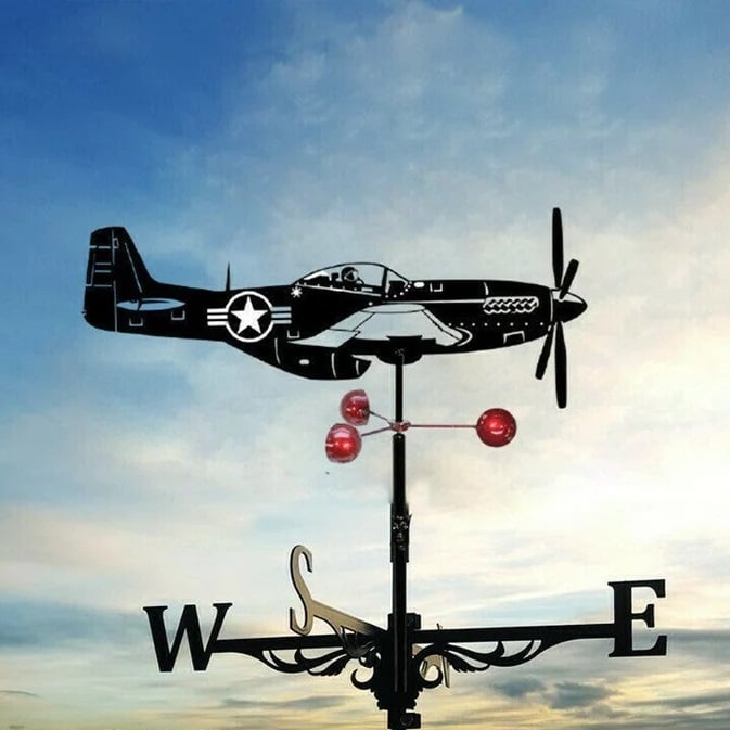 🏠Iron Weathervane