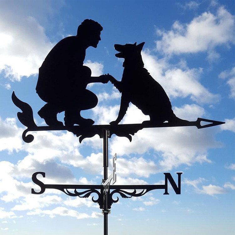 🏠Iron Weathervane