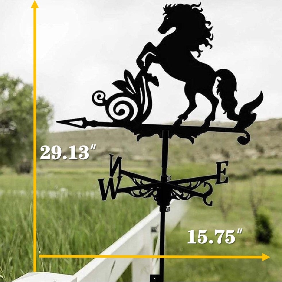 🏠Iron Weathervane