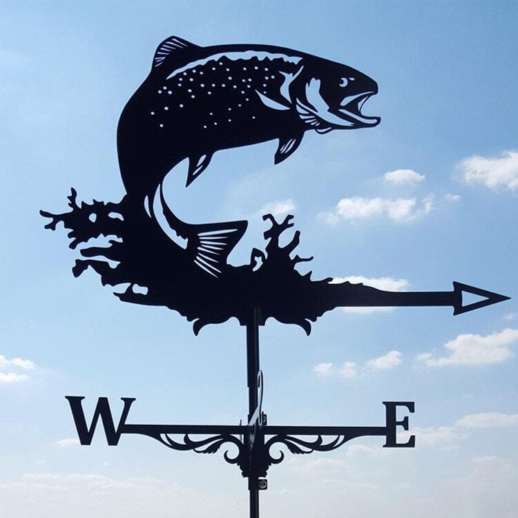 🏠Iron Weathervane