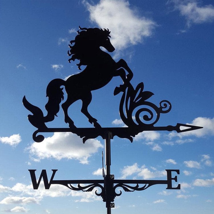🏠Iron Weathervane