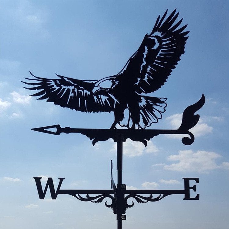 🏠Iron Weathervane