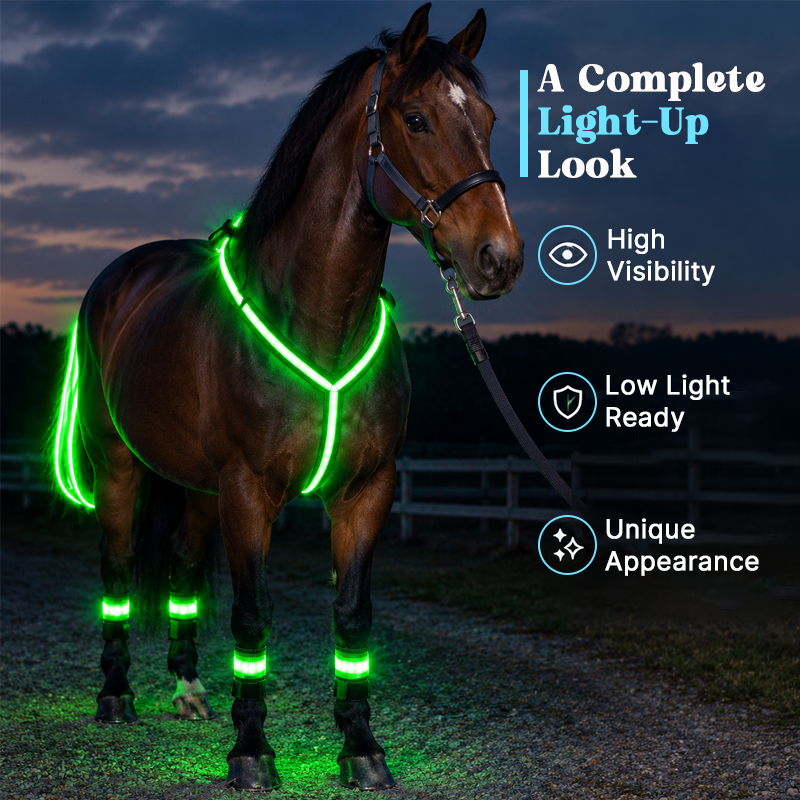 Light-up Horse-riding Set