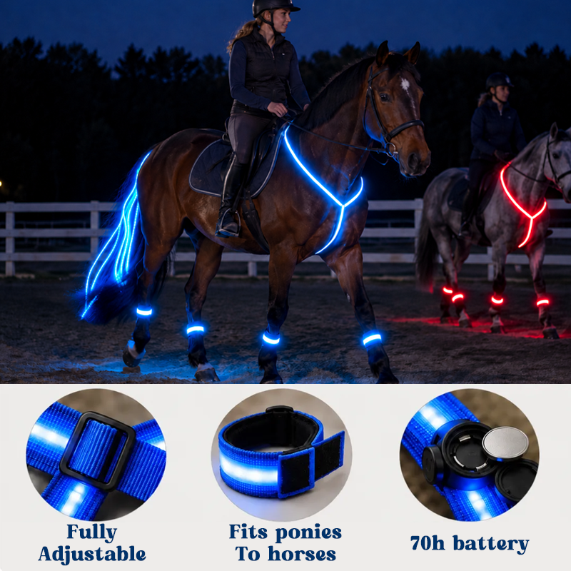 Light-up Horse-riding Set