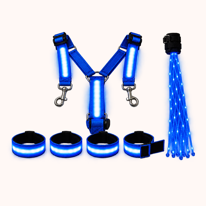 Light-up Horse-riding Set