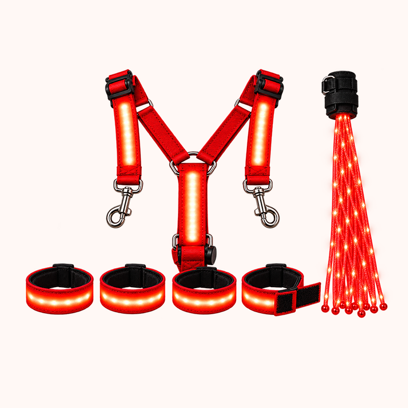 Light-up Horse-riding Set