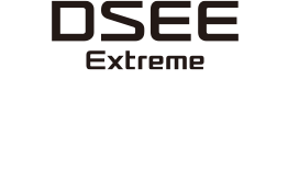 Logo DSEE Extreme
