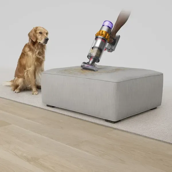 Aspirateur sans fil Dyththson V15 Detect™ Absolute avec filtre HEPA