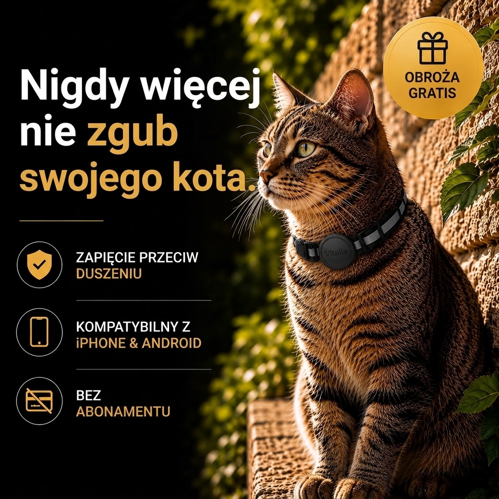 Vitalia – Inteligentna obroża lokalizująca z GPS. Spokój ducha i bezpieczeństwo Twojego kota na wyciągnięcie ręki!