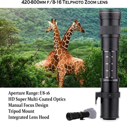 Canon EOS Rebel T7 DSLR Cámara con lente II de 18-55 mm + lente Canon EF 75-300 mm III y lente de zoom de 420-800 mm + memoria de 32 GB + filtros + trípode araña + paquete profesional