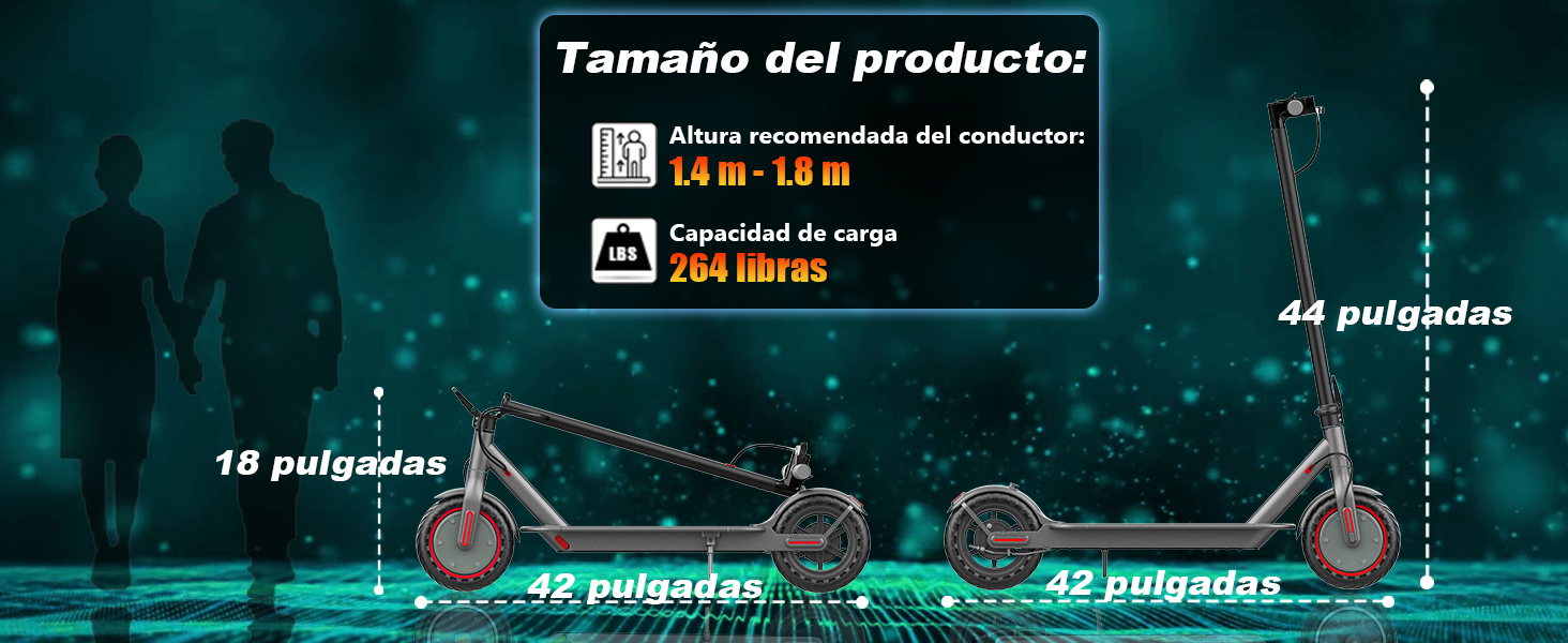 TAMA&Ntilde;O