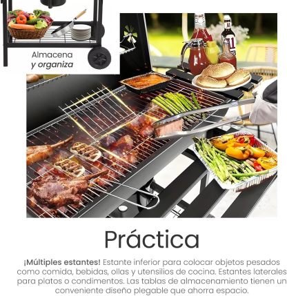 Raganet, Parrilla Asador de Carbón con Cenicero, Termómetro, Ruedas, Amplia Superficie de Cocción y Material Resistente, Ideal para Jardín y Terraza