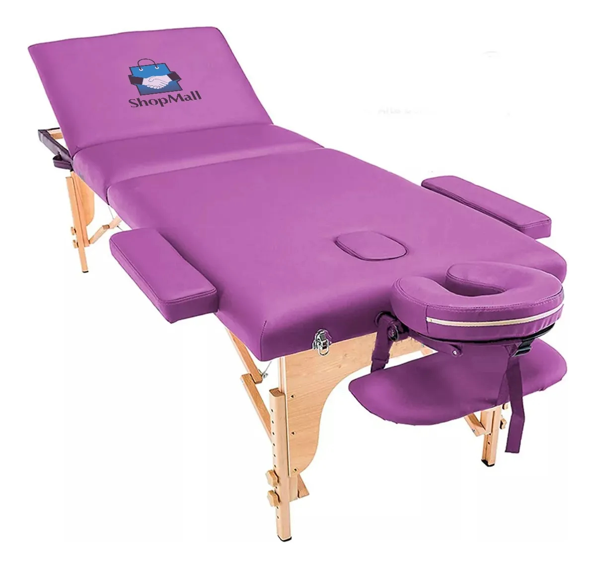 Cama De Masaje Portatil Plegable Uso Rudo Profesional Spa