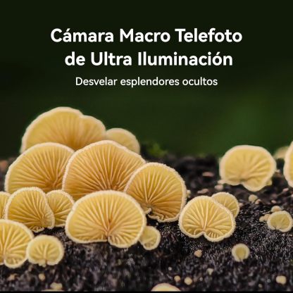HUAWEI Pura 70 Ultra, 16GB+1TB, Instantánea ultrarrápida, Súper Macro con Ultra Iluminación, Cristal Kunlun Glass, Supercharge de 100 W, Batería de 5200mAh, Negro + FreeBuds Pro 3 (Color Aleatorio)