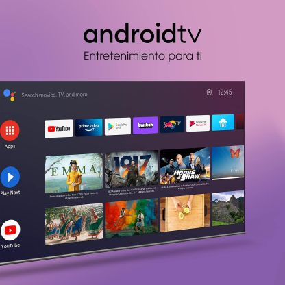 Hisense Pantalla QLED de 43" 43QD6N Google TV Works with Alexa 2024