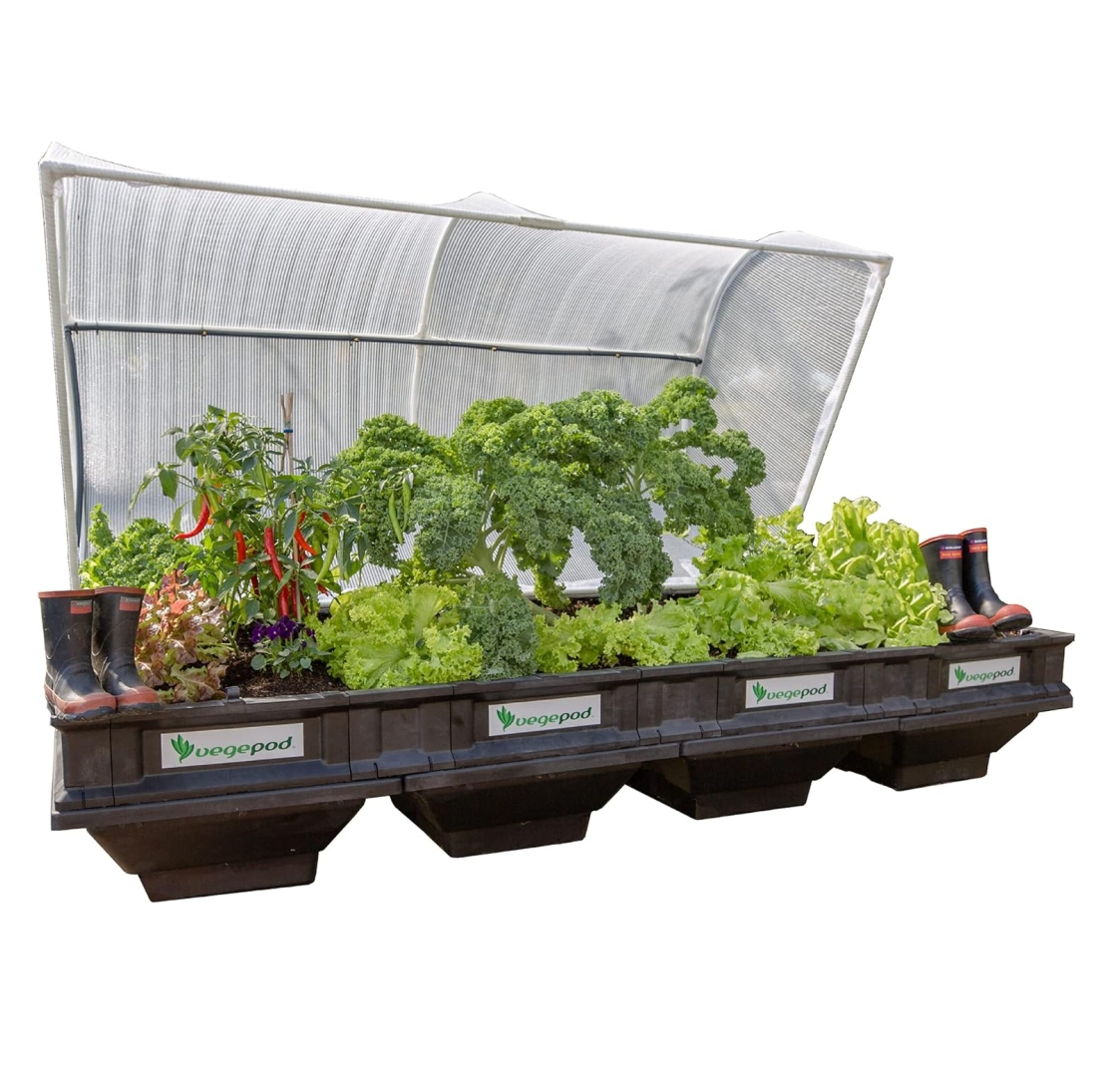 QVC Clearance, Buy 2 Get 2  Free💝Vegepod Self Watering Raised Garden Bed with Cover