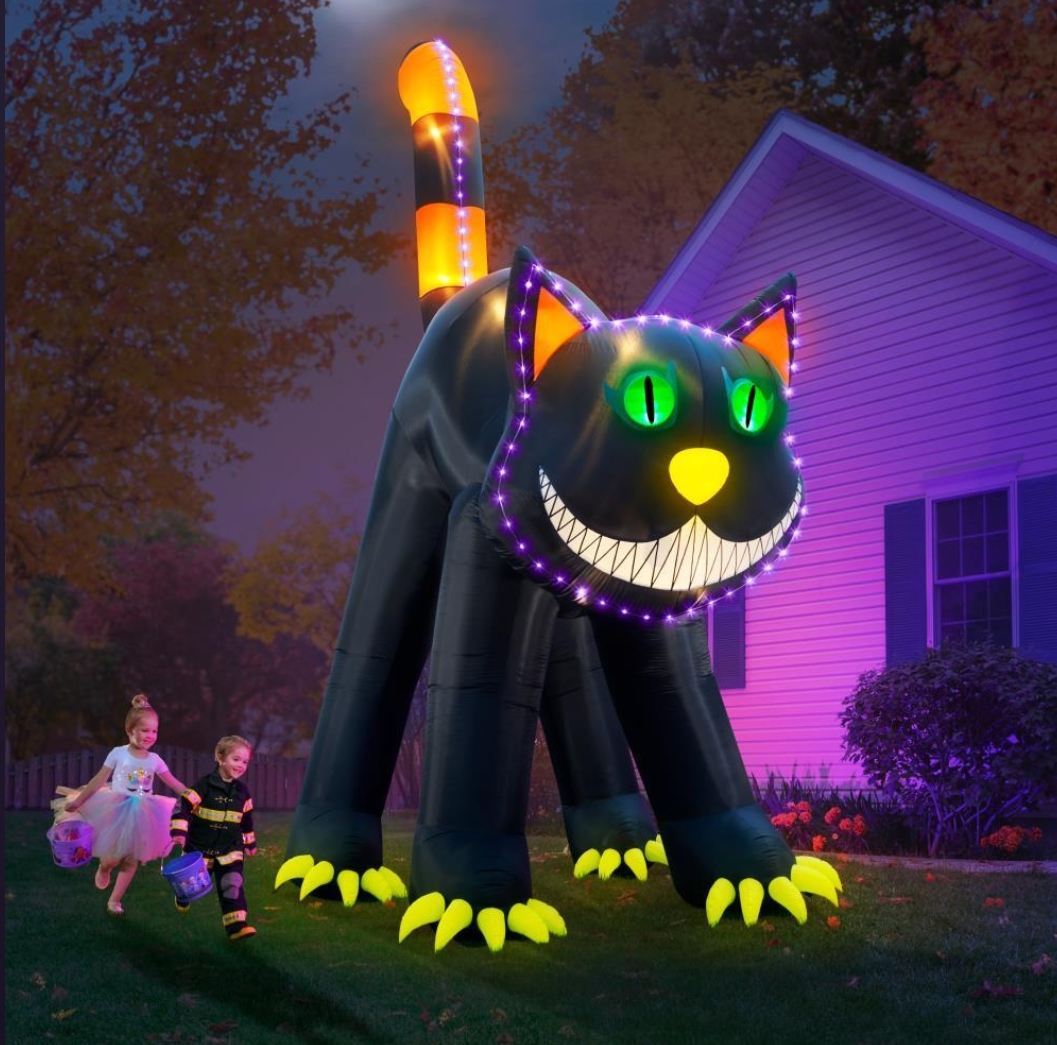 Soon to be sold out!!💝Last Day For Factory Outlet Shop💥17' Blinking Black Cat