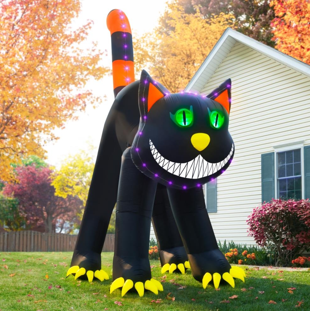 Soon to be sold out!!💝Last Day For Factory Outlet Shop💥17' Blinking Black Cat