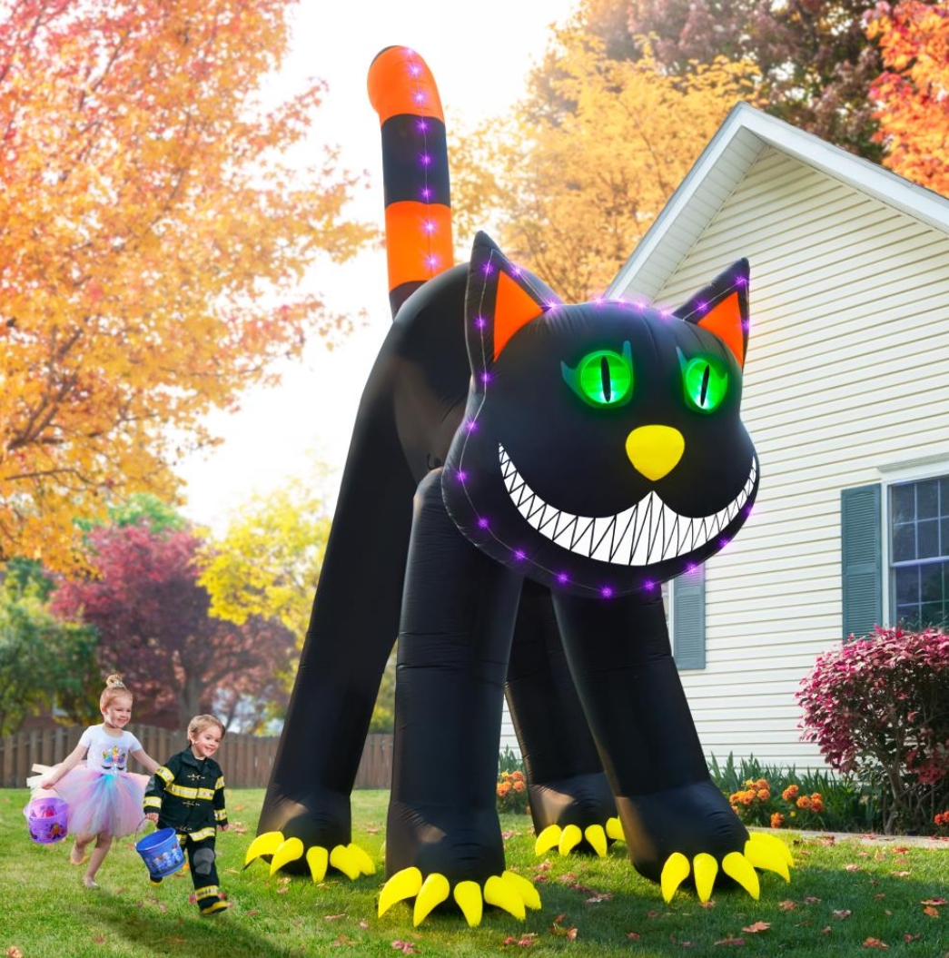 Soon to be sold out!!💝Last Day For Factory Outlet Shop💥17' Blinking Black Cat