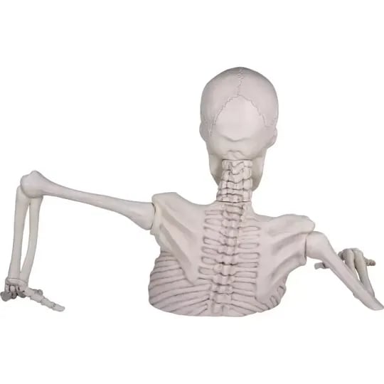 Giant Skeleton Groundbreaker