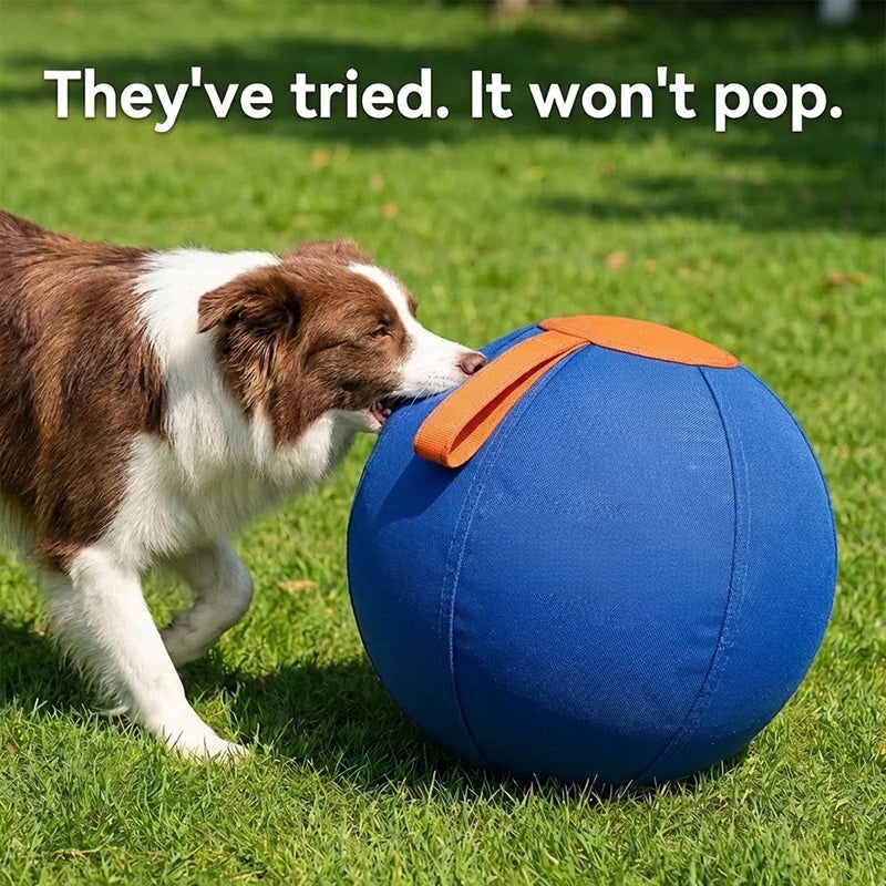 The Original Herding Ball for Dogs