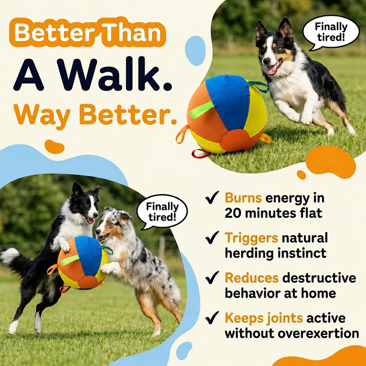 The Original Herding Ball for Dogs
